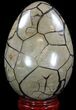 Septarian Dragon Egg Geode - Black Crystals #89570-4